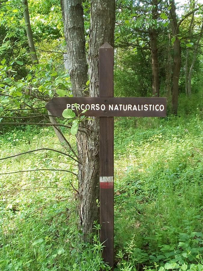 Morozzo La Foresteria Dell'Oasi 호스텔 외부 사진
